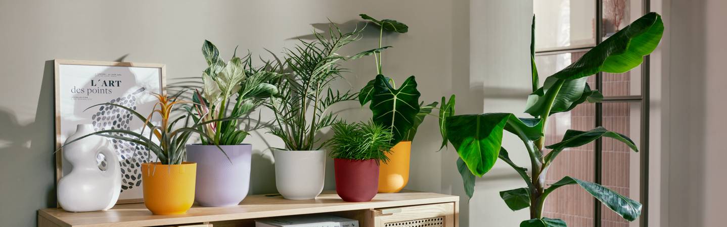 jazz rond 14cm rouge toscane